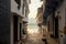 The city of a thousand temples. Pushkar, India. A view of the sacred lake from the courtyard of the temple.