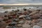 City Tuja, Latvia. Baltic sea with rocks and sand. Travel photo
