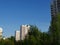 City view. Blue sky. Trees. Summertime.