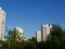 City view. Blue sky. Trees. Summertime.