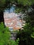 City view framed with tree branches greenery