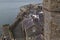 City walls and embankment of Caernarfon, Wales, UK