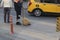 City worker doing cleaning on the roadside asphalt