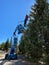 City worker standing in the Genie aerial lift installing Christmas lights