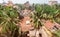 Citycape with palms, houses and tiled roofs of tropical town