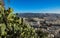 Cityscape of Athens with white buildings architecture, mountain, cactus and blue sky