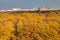 Cityscape with autumn urban park