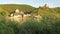 Cityscape of Beilstein and Mosel River.