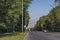 Cityscape of bulgarian capital city Sofia from the street through forest toward central residential district