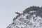 Cityscape in the city of Canillo in Andorra, it dawns with a great snowfall