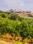 Cityscape of Estremoz, the White City in Alentejo region, Portugal. Vines in the foregrund.