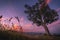 Cityscape image of Auckland, New Zealand taken from Mt. Eden at sunset.