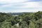 Cityscape of Lviv, Ukraine. Spire of church among trees