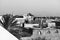 Cityscape of marrakesh medina with palm and mosque tower. Monochromatic