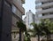 Cityscape, palm trees between houses,