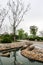 Cityscape with pond, rocks, pebble walkway