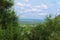 Cityscape of a small town in the distance against the blue cloudy sky framed by bushes in the foreground