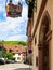 Cityscape with vineyard of Riquewihr town