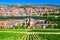 Cityscape of Wurzburg and Main River. Top view to well-groomed vineyards on a hillside from from the Marienberg Fortress. Germany