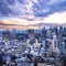 Cityscapes of tokyo in sunset / sun rise, Skyline of Tokyo, office building and downtown of tokyo in minato, Japan, Tokyo is the