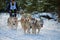 CIUMANI, ROMANIA â€“ JANUARY 2016: Unindentified musher riding alaskan malamutes at Dog Sled competition in Ciumani, Romania