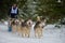 CIUMANI, ROMANIA â€“ JANUARY 2016: Unindentified musher riding alaskan malamutes at Dog Sled competition in Ciumani, Romania