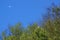 A civil aircraft flying over the mountains under a blue sky.