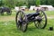 Civil War Cannon at Battle of Buchanan