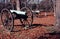 Civil War cannons on the Chickamauga Battlefield.