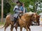 Civil War Reenactors on Horseback