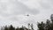 Civilian helicopter flies in sky and turns hard at low altitude over treetops.