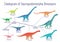 Cladogram of sauropodomorpha dinosaurs. Colorful vector illustration of diagram showing relations among sauropods -