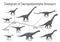 Cladogram of sauropodomorpha dinosaurs. Monochrome vector illustration of diagram showing relations among sauropods -