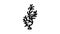 cladophora glomerata seaweed line icon animation