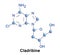 Cladribine medication leukemia