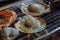 Clam,Quahog,shrimp,scallop shell,Charcoal-grilled seafood.in chiba-ken JAPAN