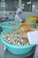 Clams are being washed and packaged in a seafood processing plant in Tien Giang, a province in the Mekong delta of Vietnam