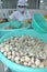 Clams are being washed and packaged in a seafood processing plant in Tien Giang, a province in the Mekong delta of Vietnam