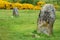 Clan Cameron Grave Marker at Culloden