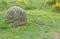 Clan Fraser Grave Marker at Culloden