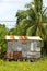 Clapboard house jungle Corn Island Nicaragua