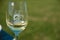 Clare Valley wine glass