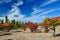 Claret red apricot orchard on sandy lakeside