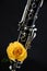 Clarinet With Yellow rose