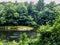 Clarion river in Cook Forest State Park in Pennsylvania near the Allegheny National Forest.  Lots of green trees along the river