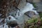 Clarios river at the village of Galata in the Troodos mountain range in Cyprus.