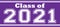 Class of 2021 Bold Banner Purple