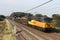 Class 56 diesel loco with a timber train on WCML.