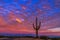 Classic Arizona Sunset Landscape With Cactus