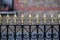 Classic black metal fence with golden tips as background